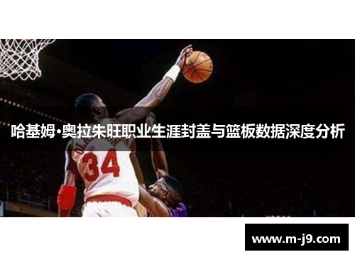哈基姆·奥拉朱旺职业生涯封盖与篮板数据深度分析