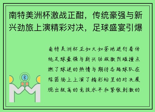 南特美洲杯激战正酣，传统豪强与新兴劲旅上演精彩对决，足球盛宴引爆全场热情