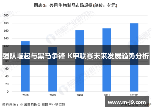 强队崛起与黑马争锋 K甲联赛未来发展趋势分析