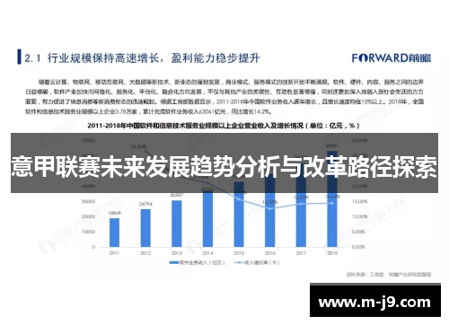 意甲联赛未来发展趋势分析与改革路径探索