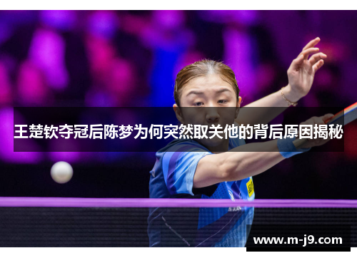 王楚钦夺冠后陈梦为何突然取关他的背后原因揭秘