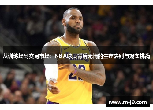 从训练场到交易市场：NBA球员背后无情的生存法则与现实挑战
