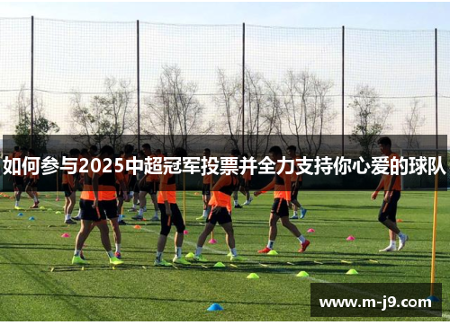 如何参与2025中超冠军投票并全力支持你心爱的球队