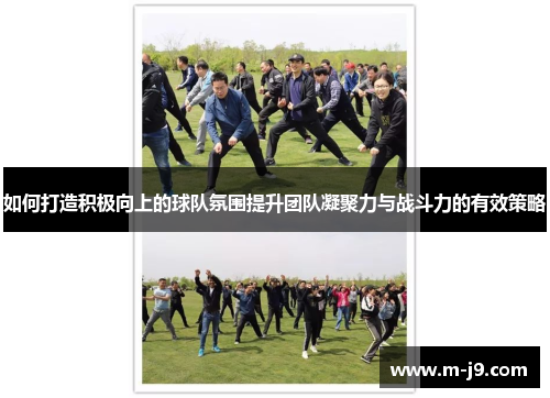 如何打造积极向上的球队氛围提升团队凝聚力与战斗力的有效策略