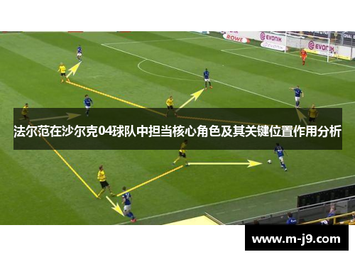 法尔范在沙尔克04球队中担当核心角色及其关键位置作用分析