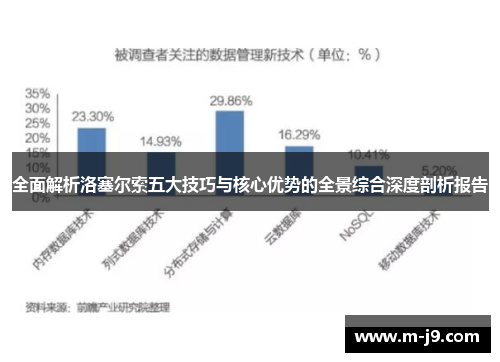 全面解析洛塞尔索五大技巧与核心优势的全景综合深度剖析报告